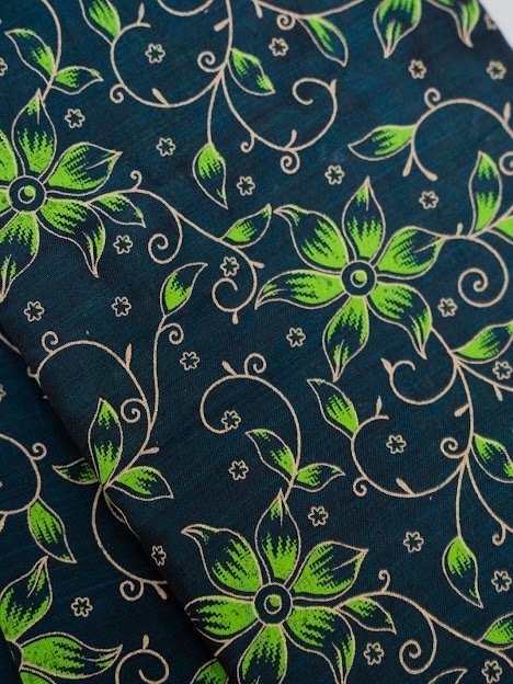 Moonlit Vine – Handwoven Narayanpet Cotton Saree - Image 5